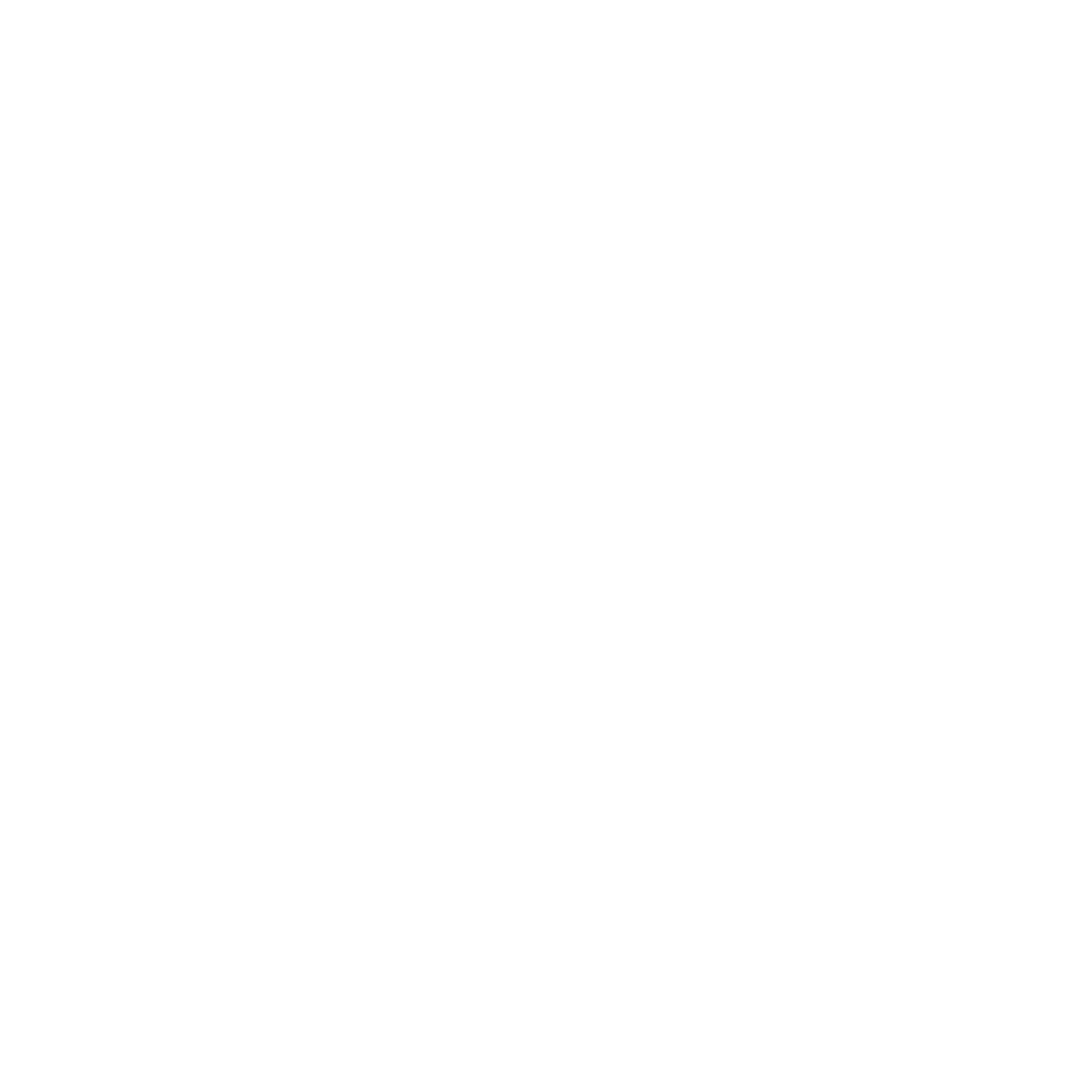 Section Icon